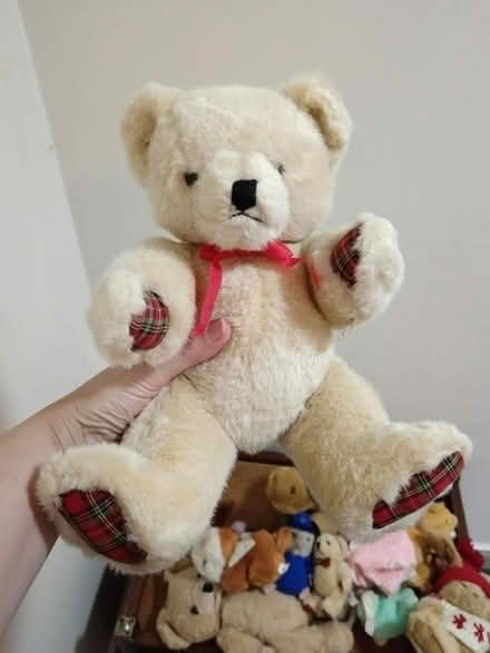 Photo of free Soft Toys (St. Stephen's CT2) #2
