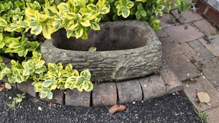 Photo of free Decorative concrete planters (hucknall ng15) #2