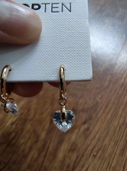 Photo of free New Earrings (Cowley OX4) #2