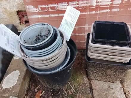 Photo of free Plastic plant pots (Landport BN7) #1
