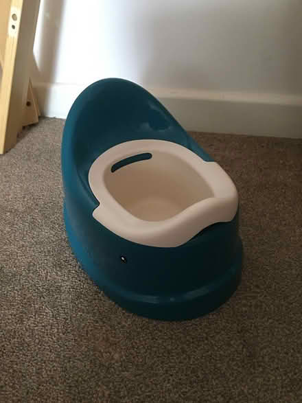 Photo of free Potty (Fareham PO16) #1