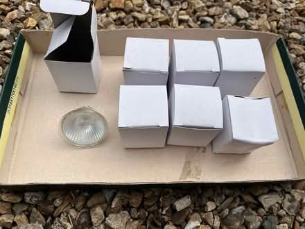 Photo of free 7 x halogen bulbs (TA18) #1