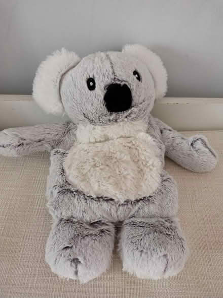 Photo of free Heatable soft toy (Shirley CR0) #1