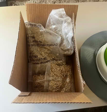 Photo of free Catit Cat Grass Planter + Kits (HA8 / Edgware) #4