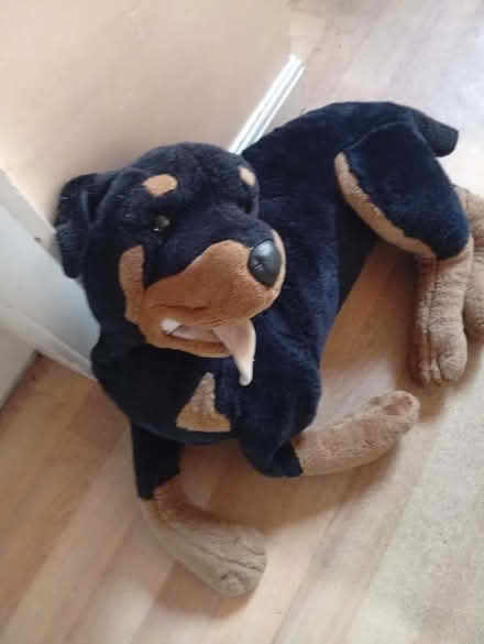 Photo of free Rottweiler cuddly toy (Welling DA7) #1