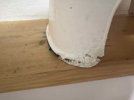 Photo of free Worn Safe Step child's step stool (Isleworth. TW7) #2
