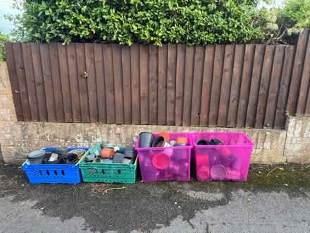 Photo of free Plant pots (NP165QW) #1