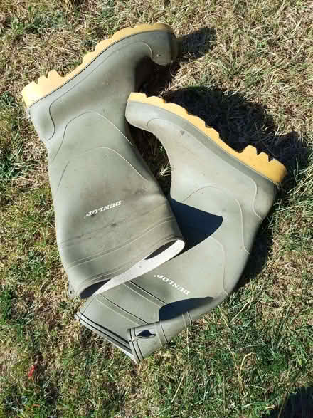 Photo of free Men's size 11 wellington boots (Earley RG6) #1