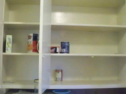 Photo of Food wanted – E4/Chingford (E4) #1