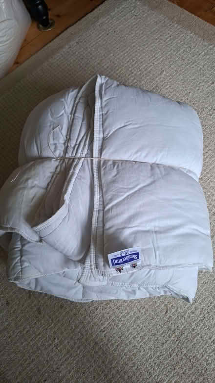 Photo of free Single duvet (Divinity Road OX4) #1
