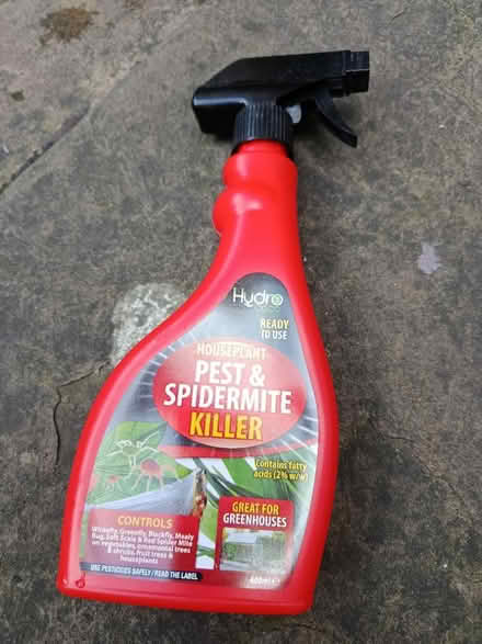 Photo of free Pest and spidermite killer (Walkley, S6) #1