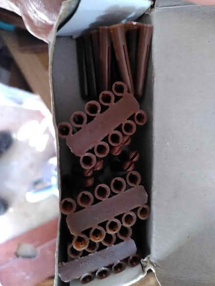 Photo of free Brown wall plugs (West Oxfordshire OX28) #1