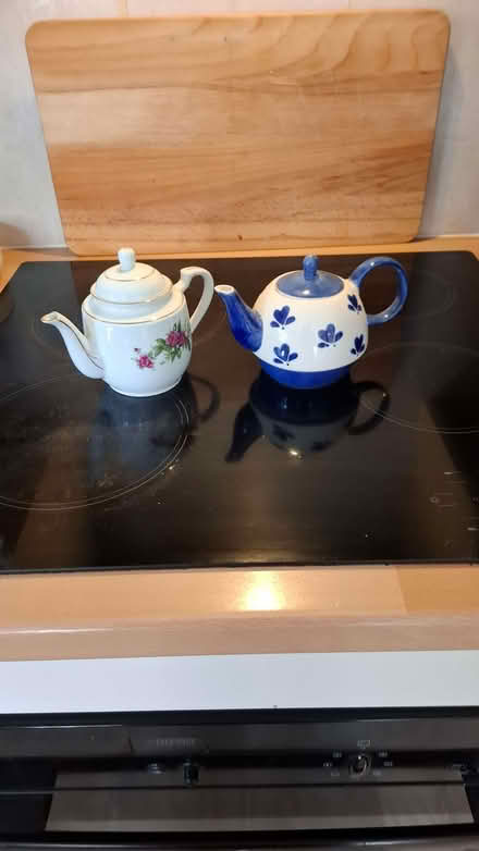 Photo of free One cup tea sets. Single small teapots (Forest Green GL6) #2