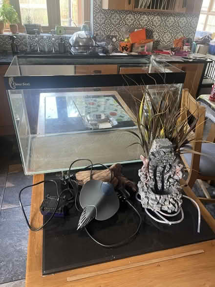 Photo of free Fish tank and stuff (Rackheath NR13) #1