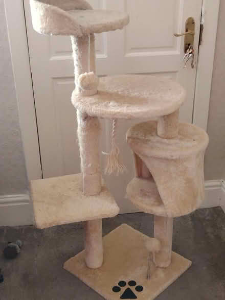 Photo of free Cat scratch post (Southport PR8) #1