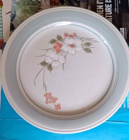 Photo of free 6 Dinner Plates (Chard TA20) #1