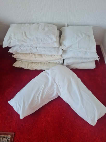 Photo of free Pillows and cushions (Guisborough TS14) #1