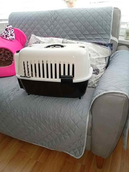 Photo of free Cat Carrier (L14 Dovecot) #2