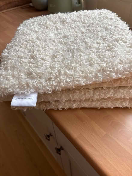 Photo of free Seat pads (Hilperton BA14) #1