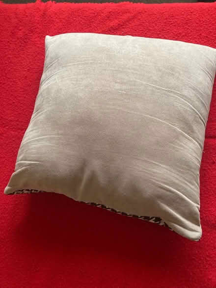 Photo of free Kitten cushion (Willingdon BN22) #2