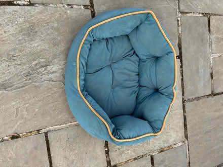 Photo of free Small dog/large cat bed (Warfield RG42) #1