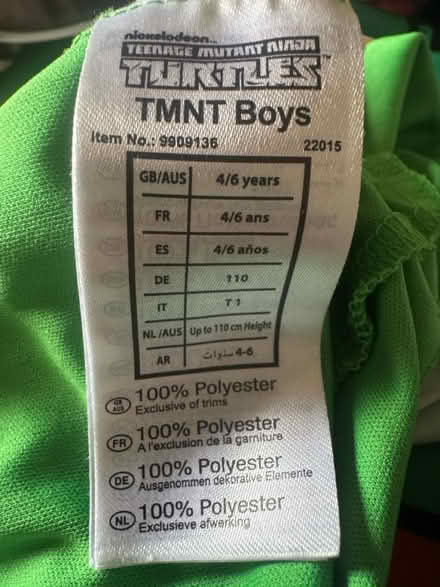 Photo of free Kids ninja turtle costume (Portsmouth PO2) #2