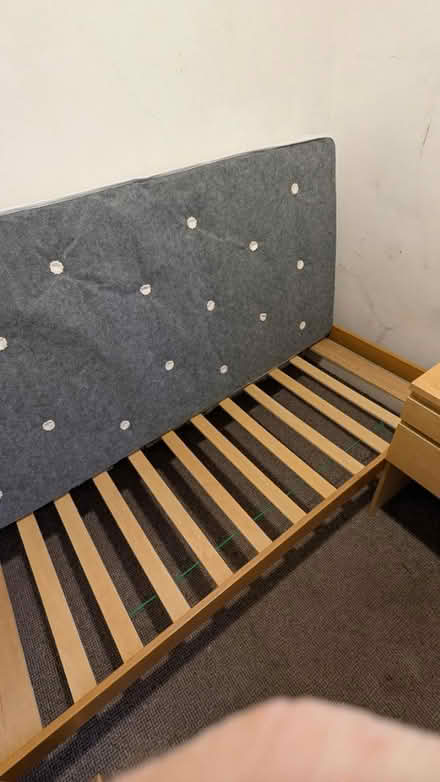 Photo of free Single wooden bed (Rusholme M14) #3