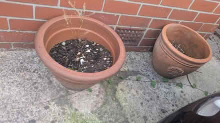 Photo of free 2 terracotta pots (Urmston M41) #1
