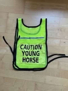 Photo of free Caution young horse tabard (Verwood BH31) #2
