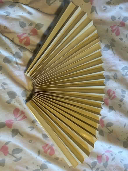 Photo of free Lampshade (Jennetts park RG12) #4