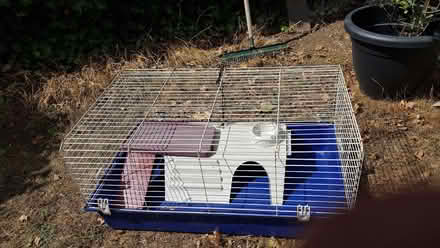 Photo of free Small rodent cage (Basildon SS14) #1
