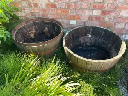 Photo of free Half barrel planter (Stanley Green SY13) #1
