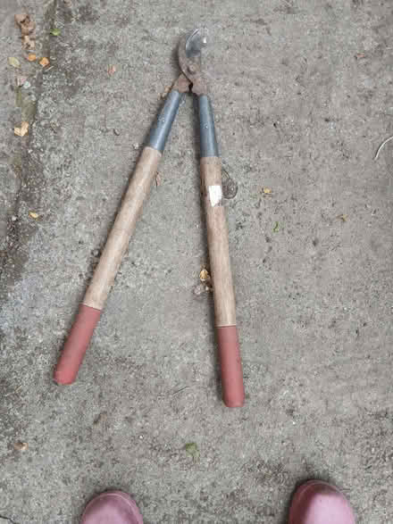 Photo of free Loppers (Penrith CA11) #1