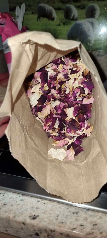 Photo of free Wedding cones (South Tonbridge TN9) #2