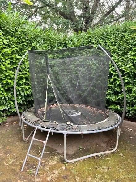 Photo of free Trampoline (Orpington BR6) #1