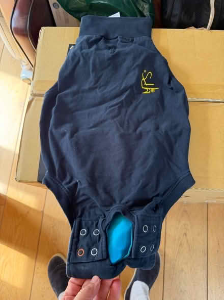 Photo of free 2x Dog T-Shirt Small (Cumnor OX2) #1