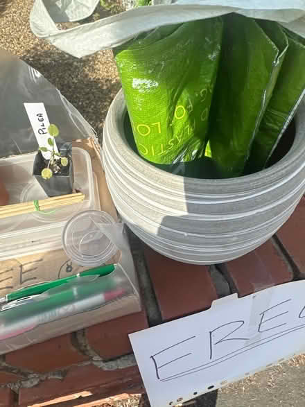 Photo of free Plants, pots, pens etc (CO4 9 Colchester) #3