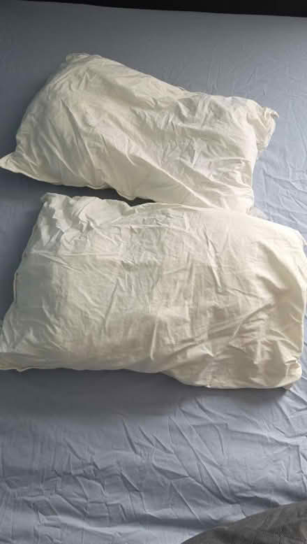 Photo of free 2 Pillows (Enfield EN3) #1