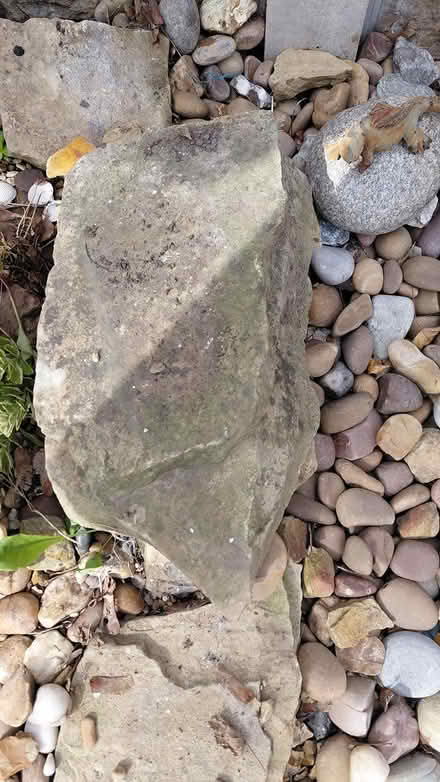 Photo of free Large rockery rocks (Sheffield S12) #1