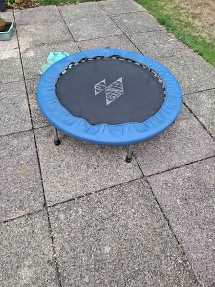 Photo of free Exercise bouncer (Blackpool Crnr, Axm EX13) #1