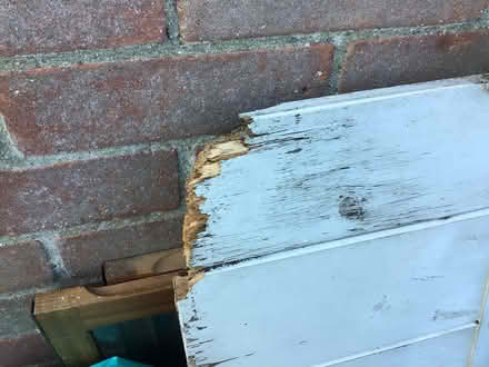 Photo of free Wooden door (North Walsham, NR28) #3