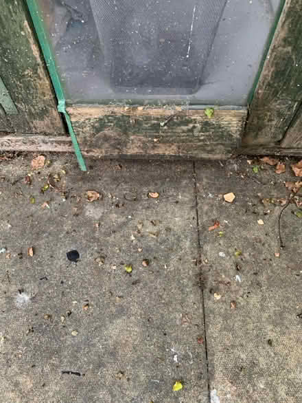 Photo of free Shed/Summerhouse (Cambridge CB1) #3
