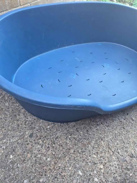 Photo of free large plastic dog bed (Netherfield NG4) #1