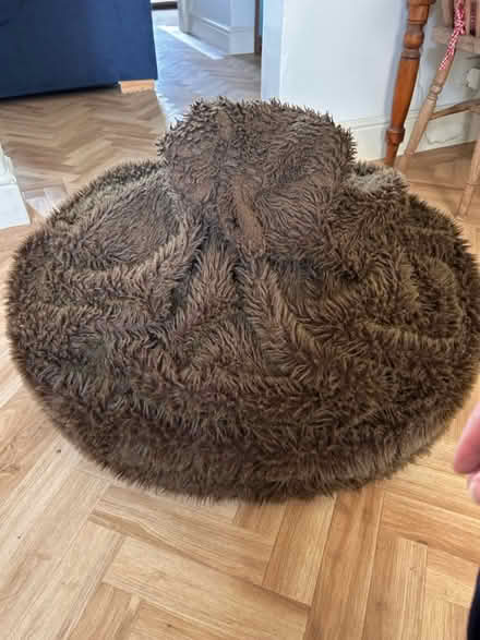 Photo of free 60 Litre Beanbag (Fakenham NR21) #1