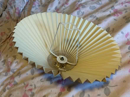 Photo of free Lampshade (Jennetts park RG12) #1