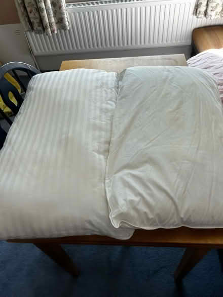 Photo of free 2 x Pillows (Malvern Link WR14) #1