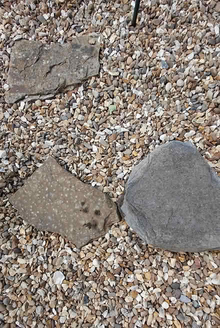Photo of free Large flat stones x 10 (Sheffield S12) #2