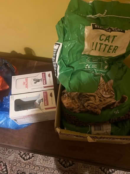 Photo of free royal canin cat food and litter (Oxford Cowley OX4) #1