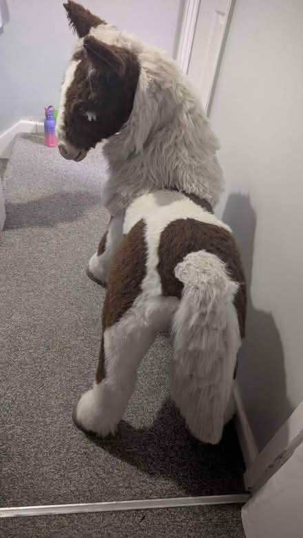Photo of free Toy horse (Oakengates TF2) #2
