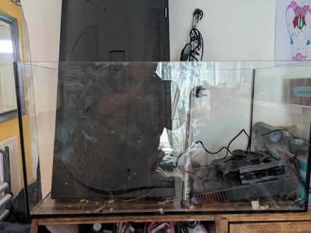 Photo of free Small animal/ fish tank (Dudley Hill BD4) #1